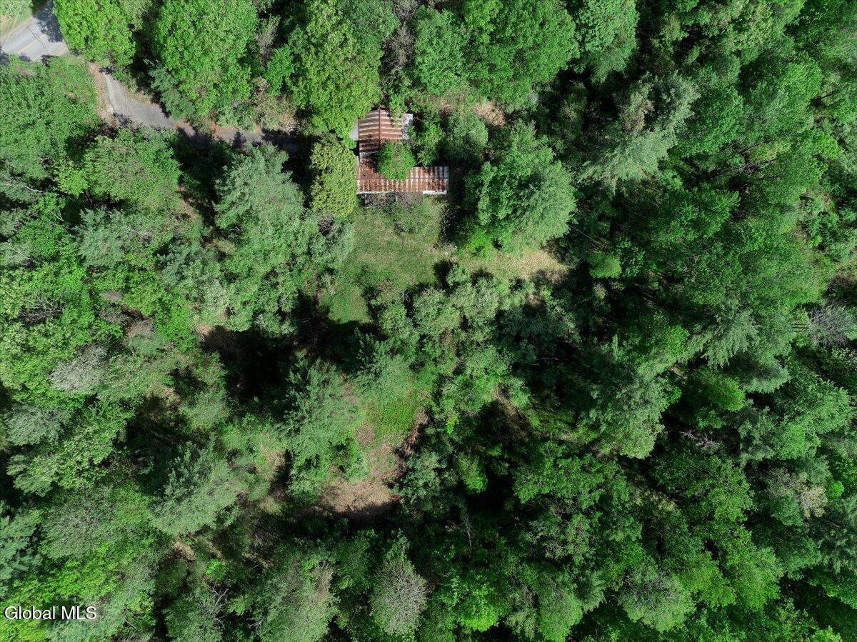 102 Barney Road Greenfield, NY 12850 - Photo 7 of 13 06-Barney Rd-5