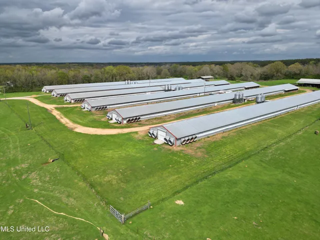 $1,100,000 | 571 Highway 583, Tylertown, MS 39667