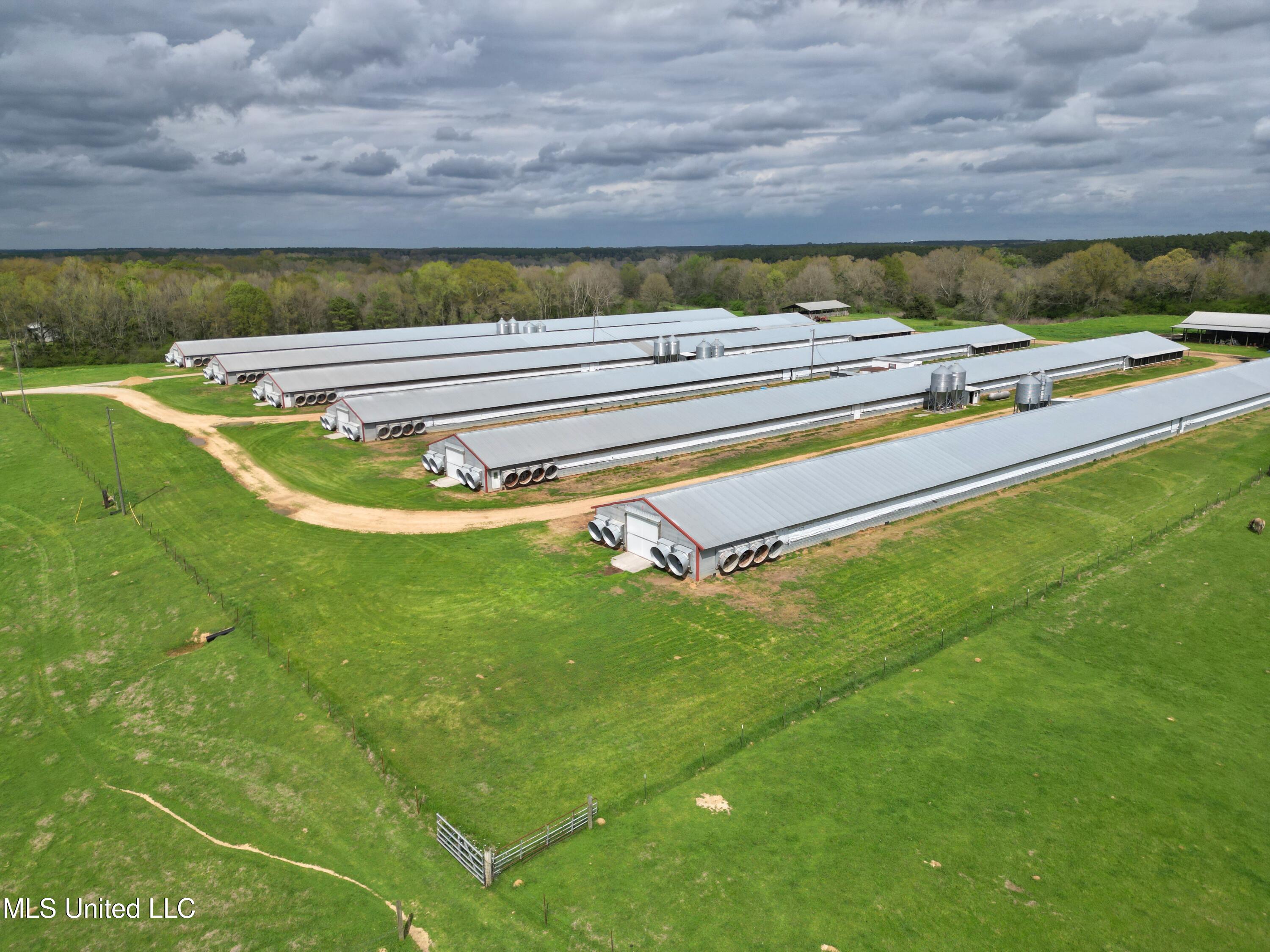 571 Highway 583 Tylertown, MS 39667 - Photo 1 of 45 DJI_0556