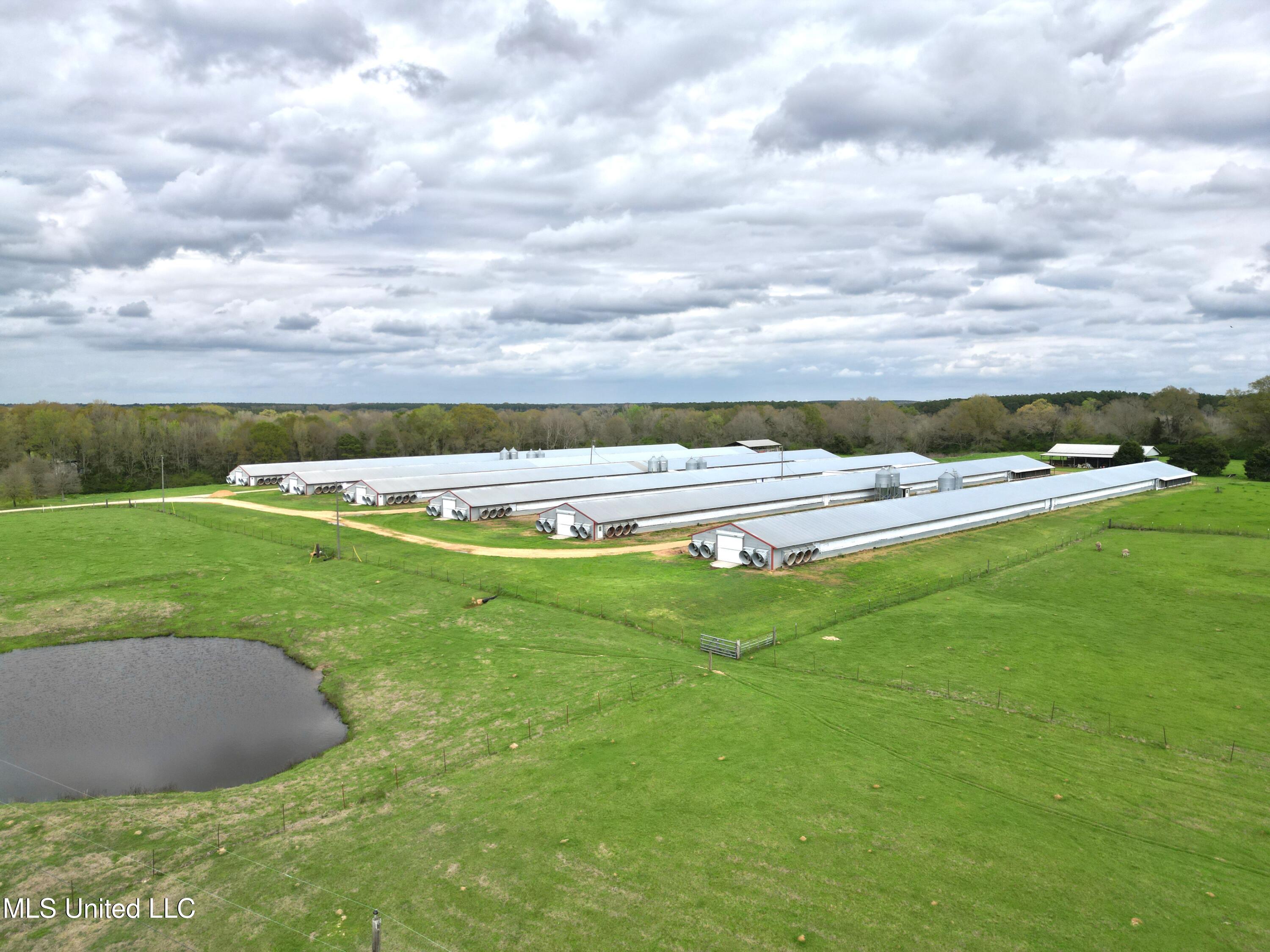 571 Highway 583 Tylertown, MS 39667 - Photo 16 of 45 DJI_0547