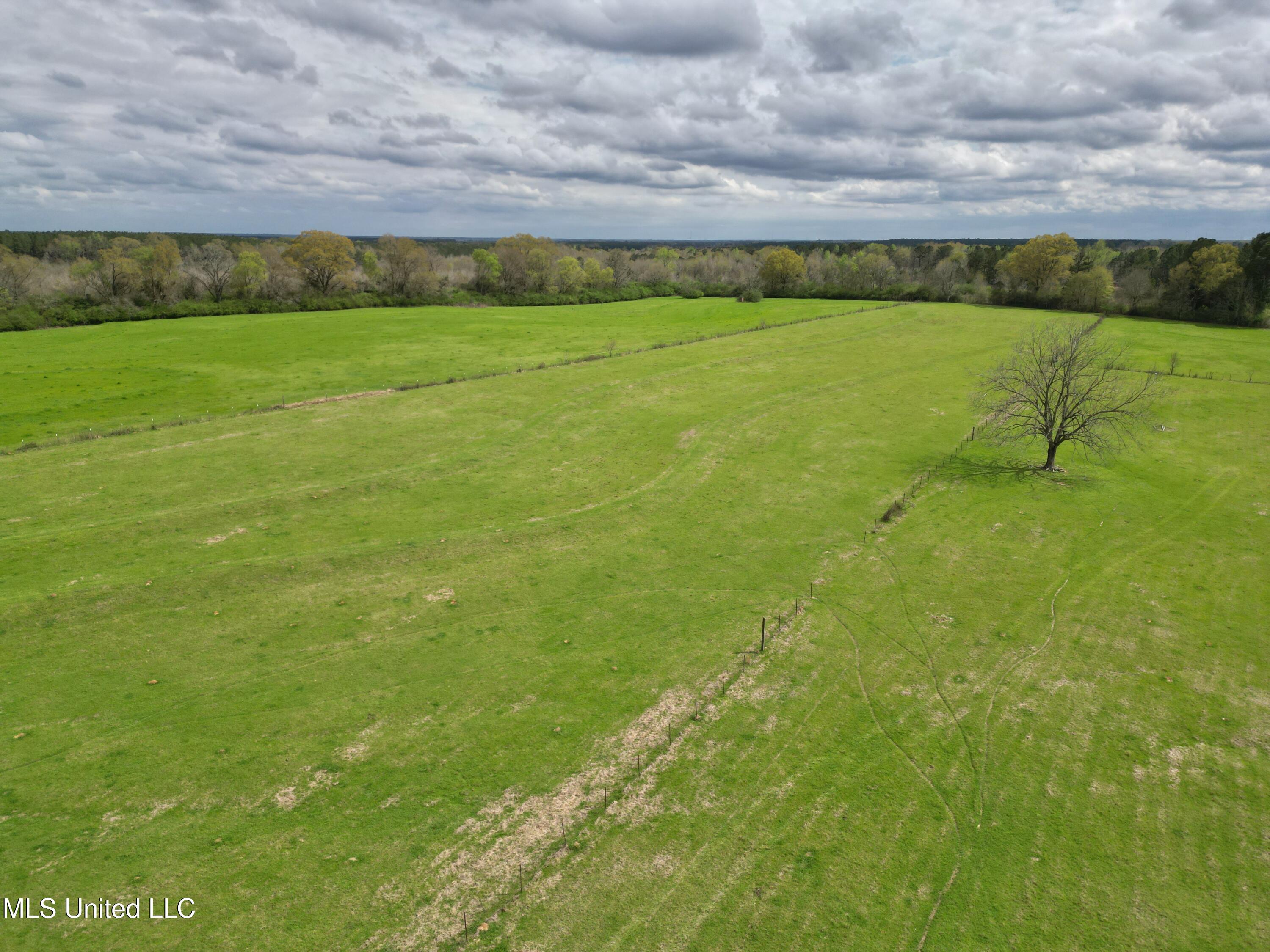 571 Highway 583 Tylertown, MS 39667 - Photo 17 of 45 DJI_0558