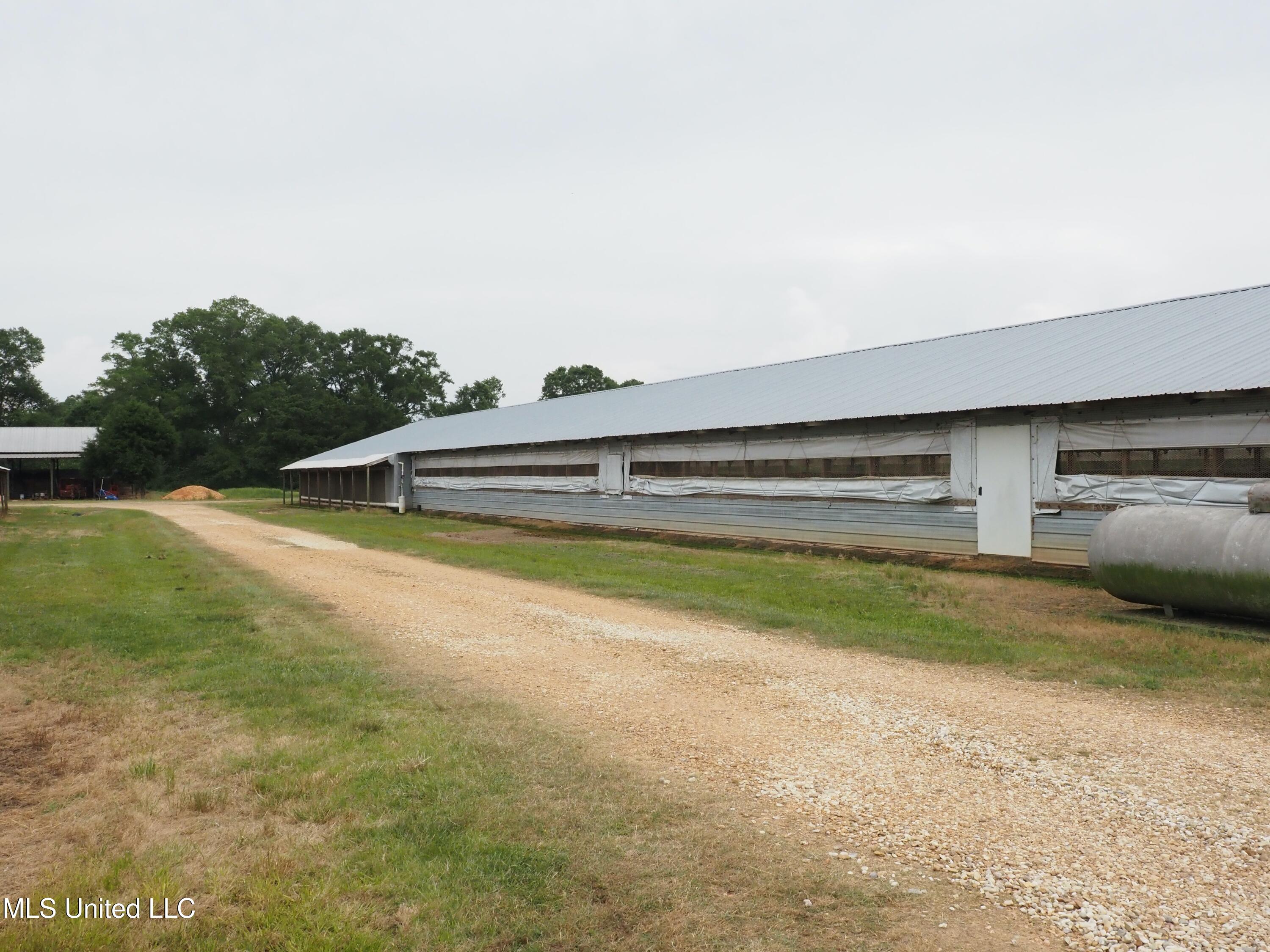 571 Highway 583 Tylertown, MS 39667 - Photo 23 of 45 P5033586