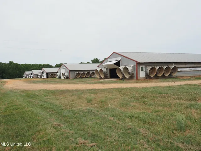 $1,100,000 | 571 Highway 583, Tylertown, MS 39667