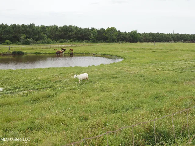 $1,100,000 | 571 Highway 583, Tylertown, MS 39667