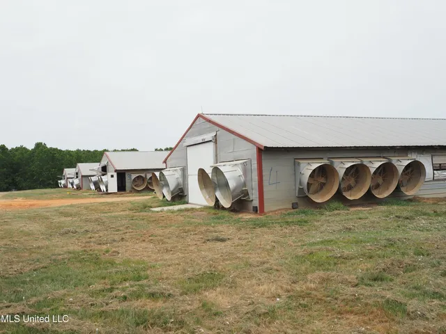 $1,100,000 | 571 Highway 583, Tylertown, MS 39667