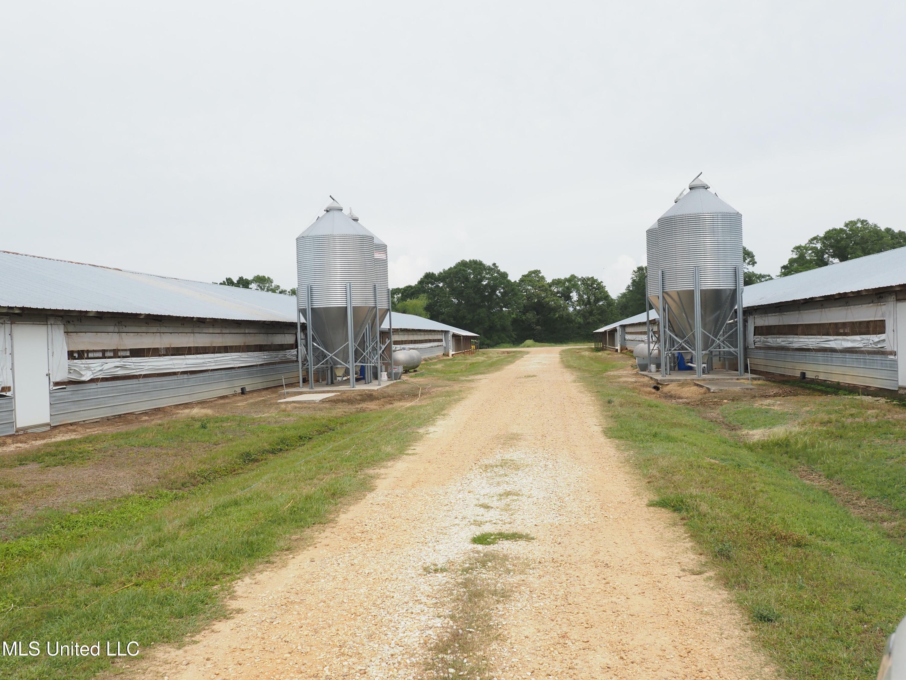 571 Highway 583 Tylertown, MS 39667 - Photo 27 of 45 P5033618