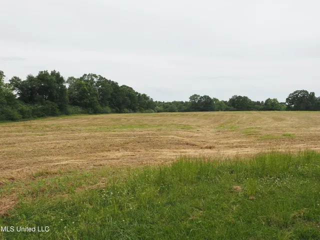 $1,100,000 | 571 Highway 583, Tylertown, MS 39667