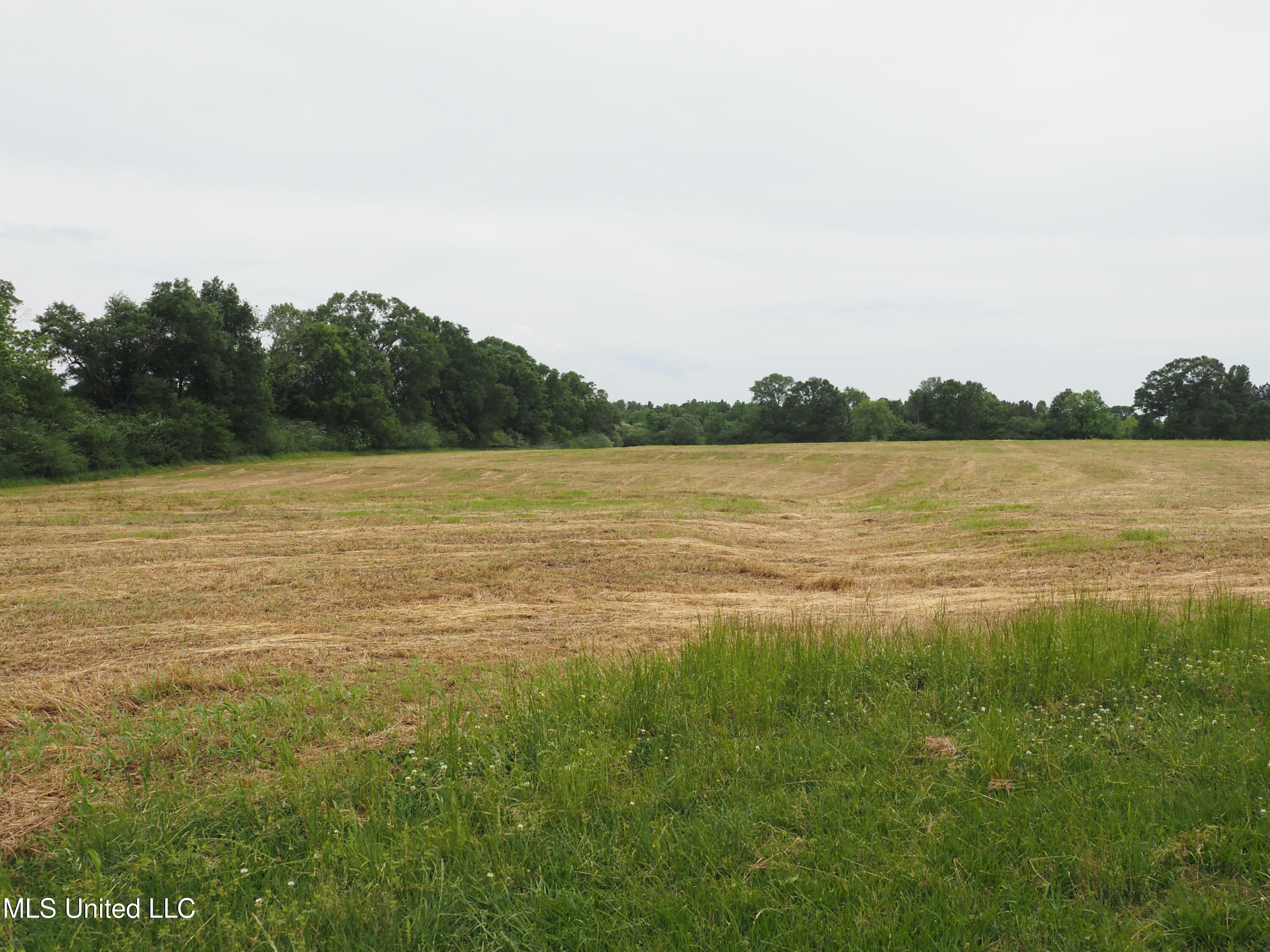 571 Highway 583 Tylertown, MS 39667 - Photo 36 of 45 P5033662