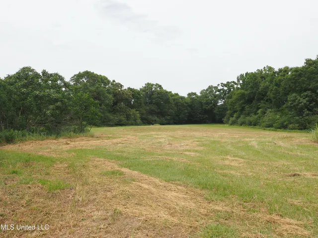 $1,100,000 | 571 Highway 583, Tylertown, MS 39667