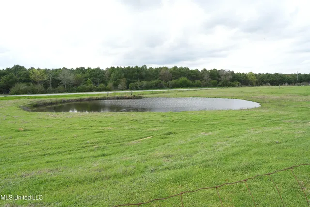 $1,100,000 | 571 Highway 583, Tylertown, MS 39667