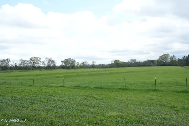 $1,100,000 | 571 Highway 583, Tylertown, MS 39667