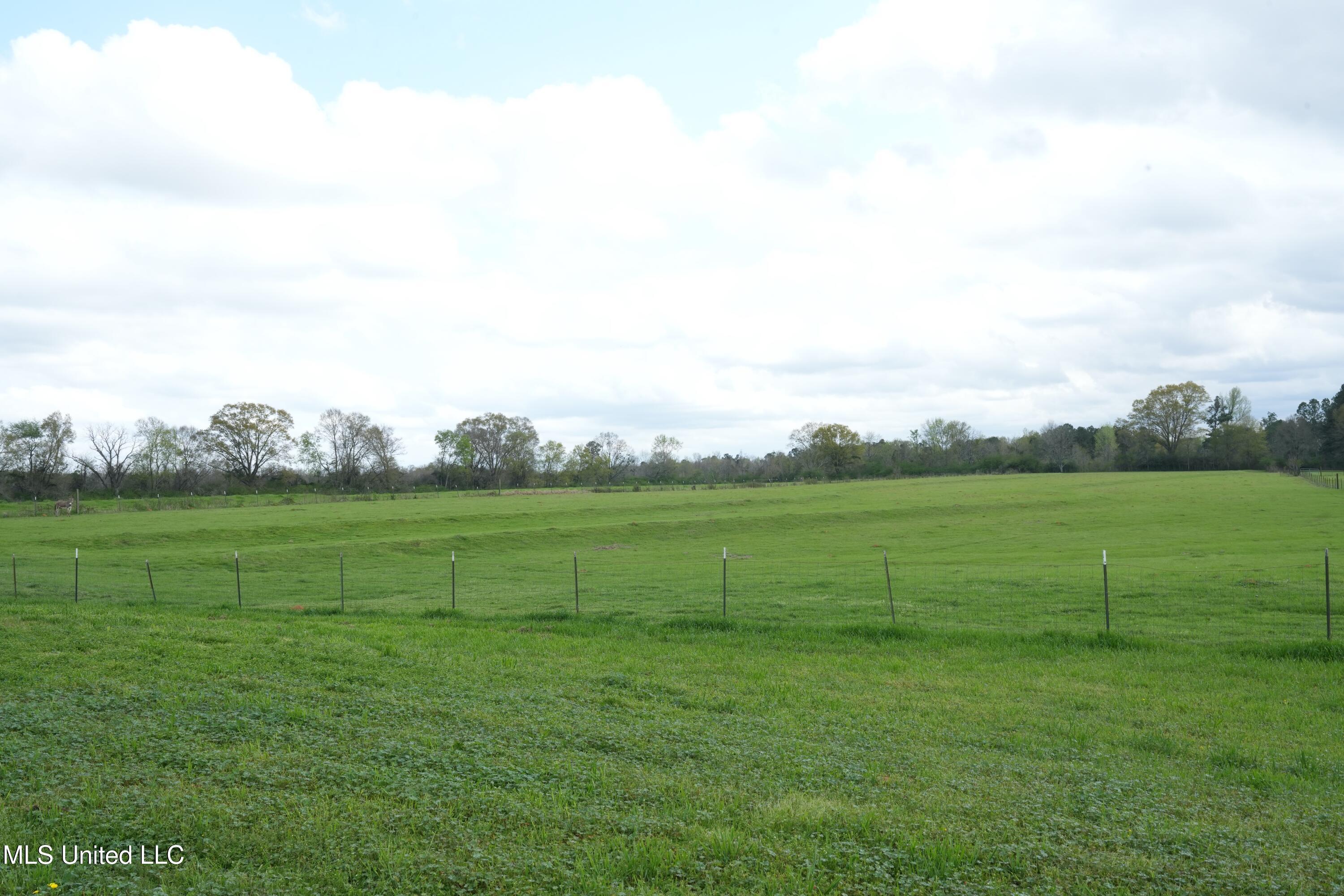 571 Highway 583 Tylertown, MS 39667 - Photo 7 of 45 DSC06230