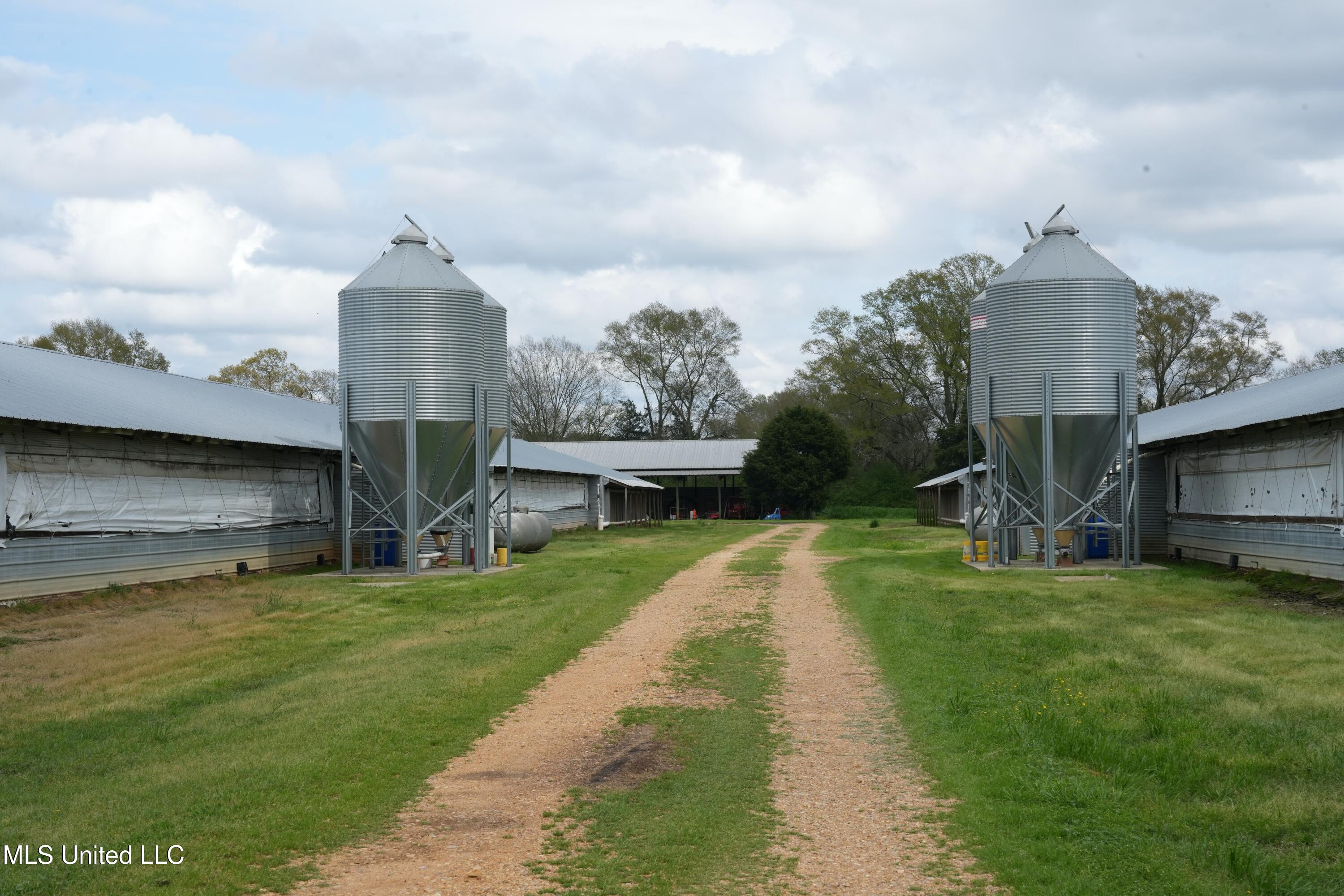 571 Highway 583 Tylertown, MS 39667 - Photo 10 of 45 DSC06256