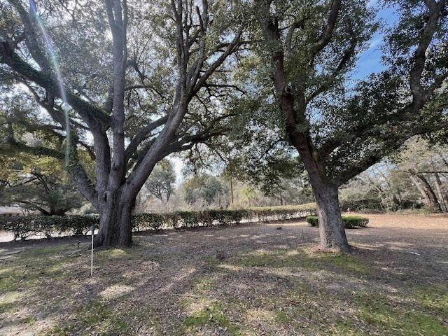 51 State Rd S-6-706 Barnwell, SC 29812 - Photo 25 of 25