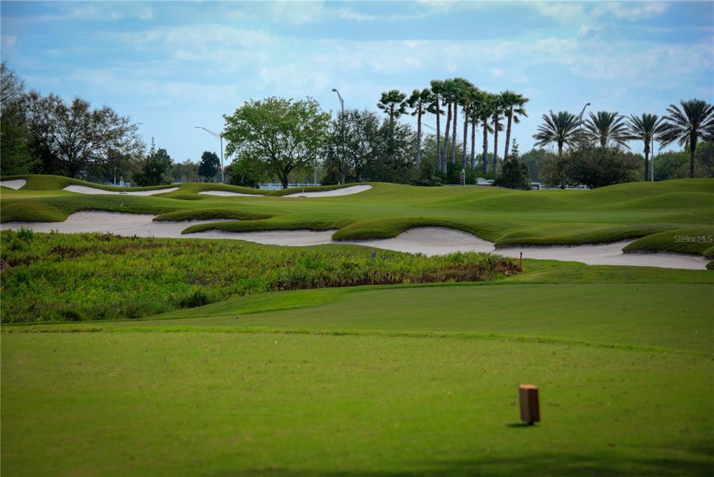 6919 Dominion Lane Lakewood Ranch, FL 34202 - Photo 94 of 99