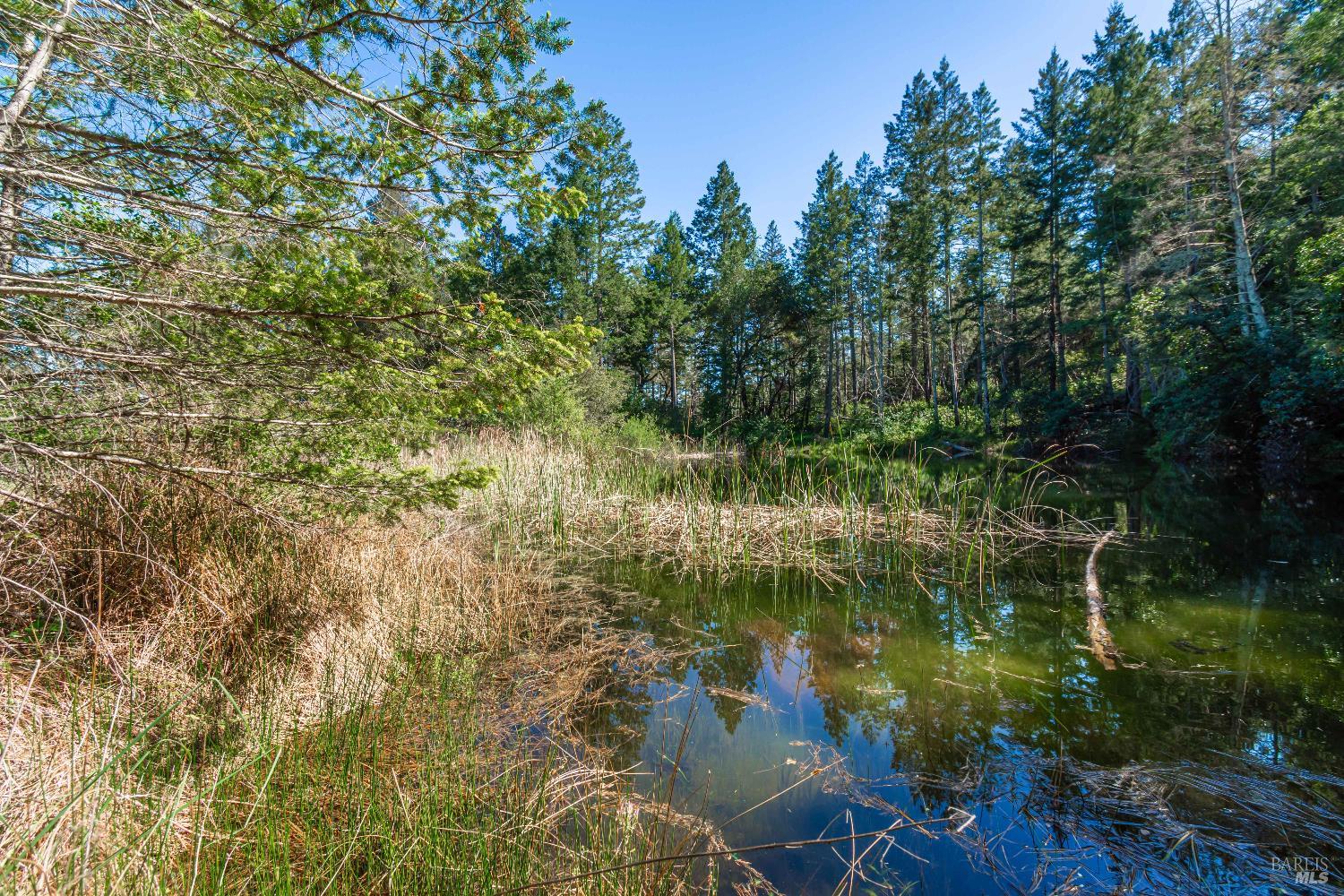 0 Dry Creek Road Napa, CA 94558 - Photo 58 of 98