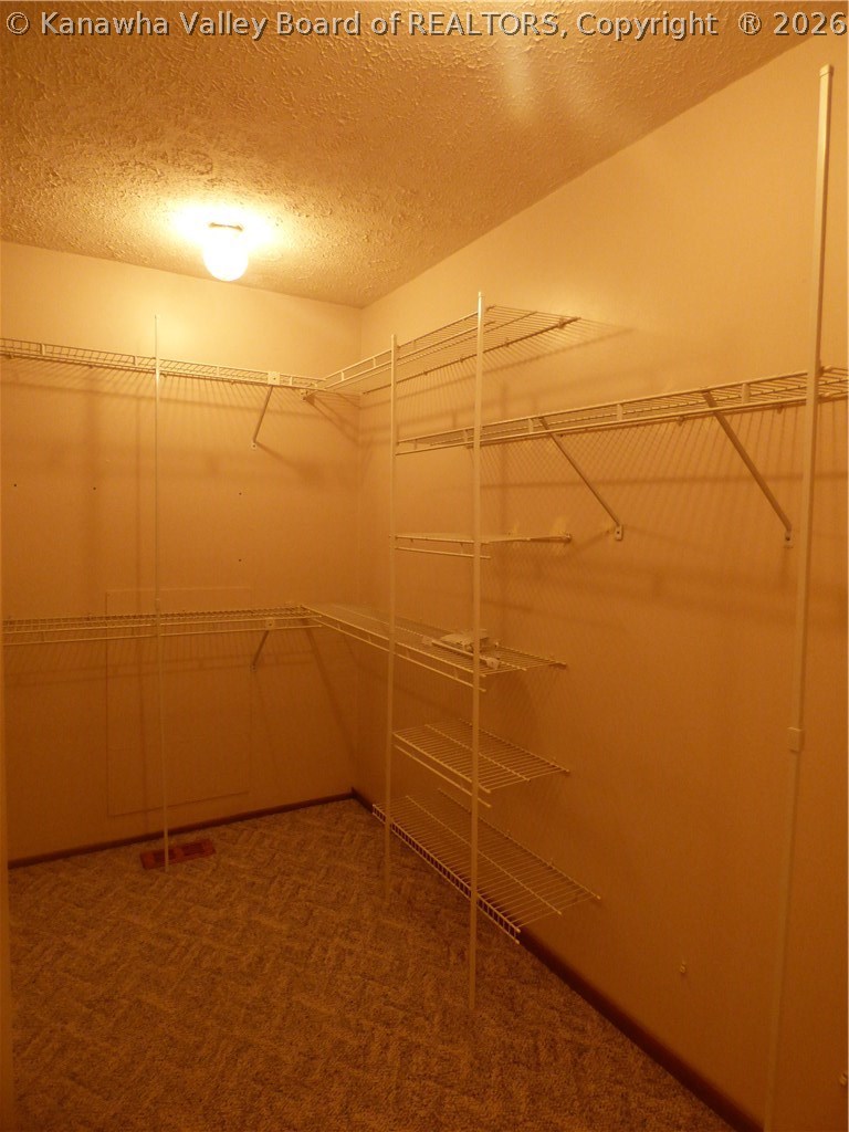 450 Cobb Hollow Road Red House, WV 25168 - Photo 17 of 28 Master Closet