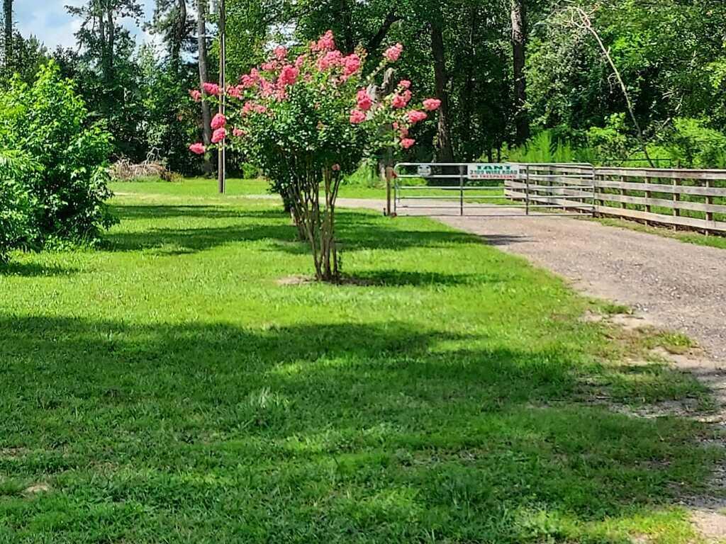 3109 Wire Road St. George, SC 29477 - Photo 59 of 60 imagejpeg_1004