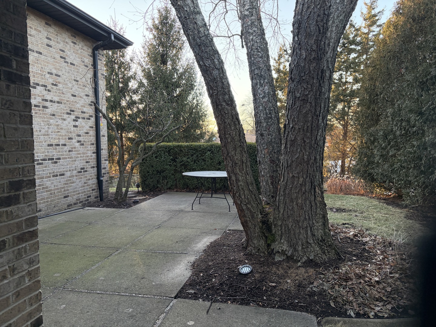 7700 Apple Tree Lane Willowbrook, IL 60527 - Photo 5 of 16