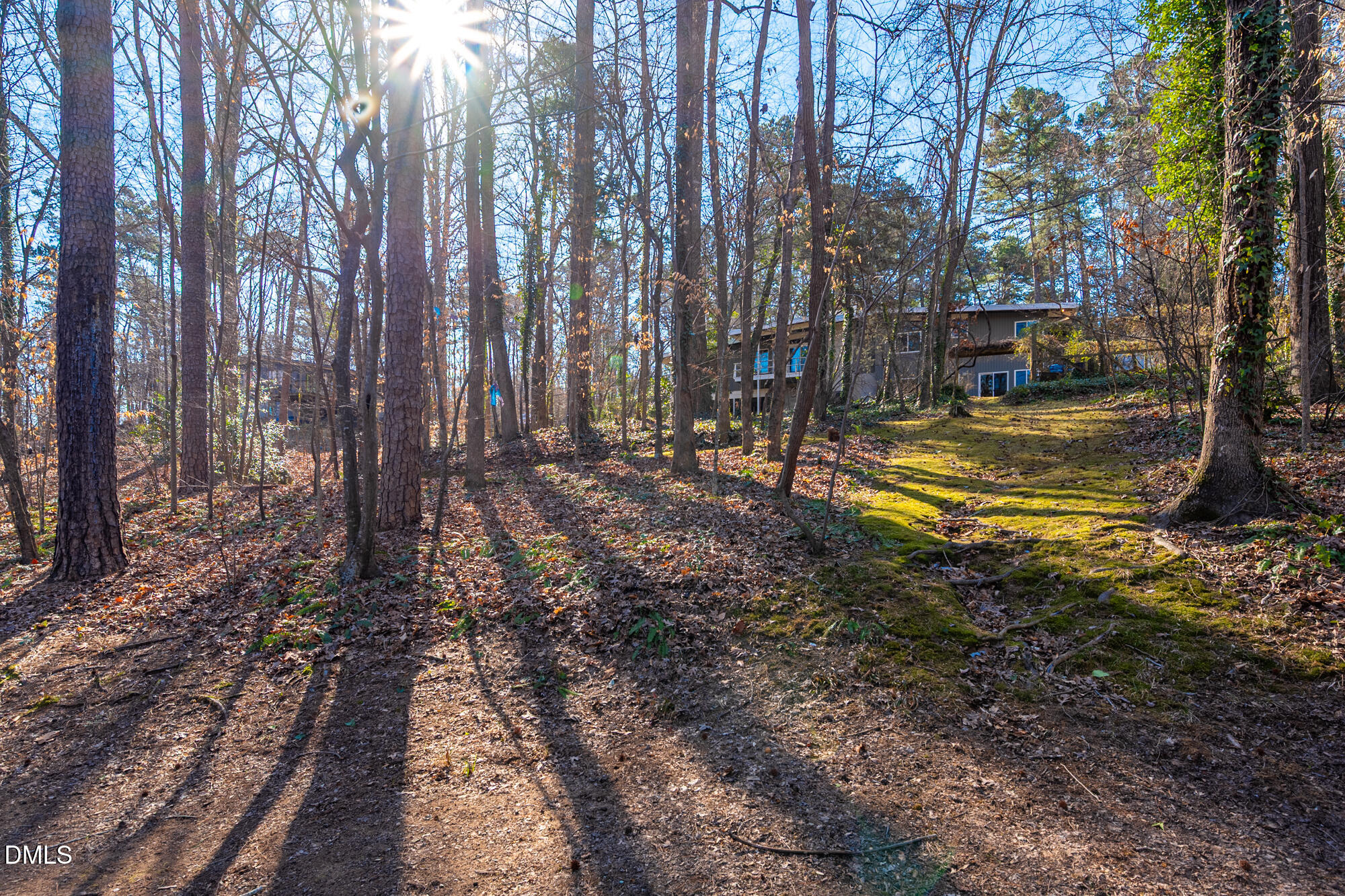 1030 Highland Woods Road Chapel Hill, NC 27517 - Photo 60 of 64 a view of a yard with trees