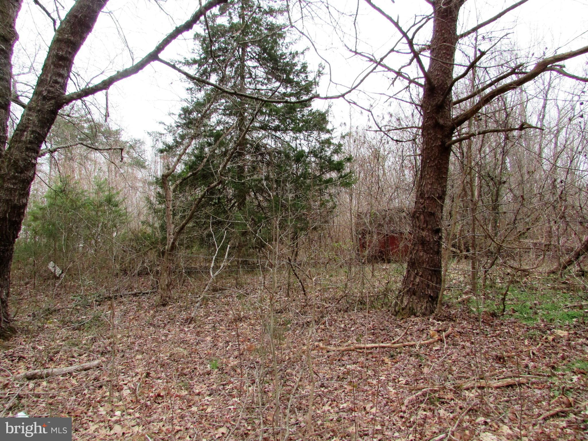 Lot # Cedar Hill Road Mineral, VA 23117 - Photo 1 of 17 Lot 25 Cedar Hill Rd. - 3 Wooded Acres