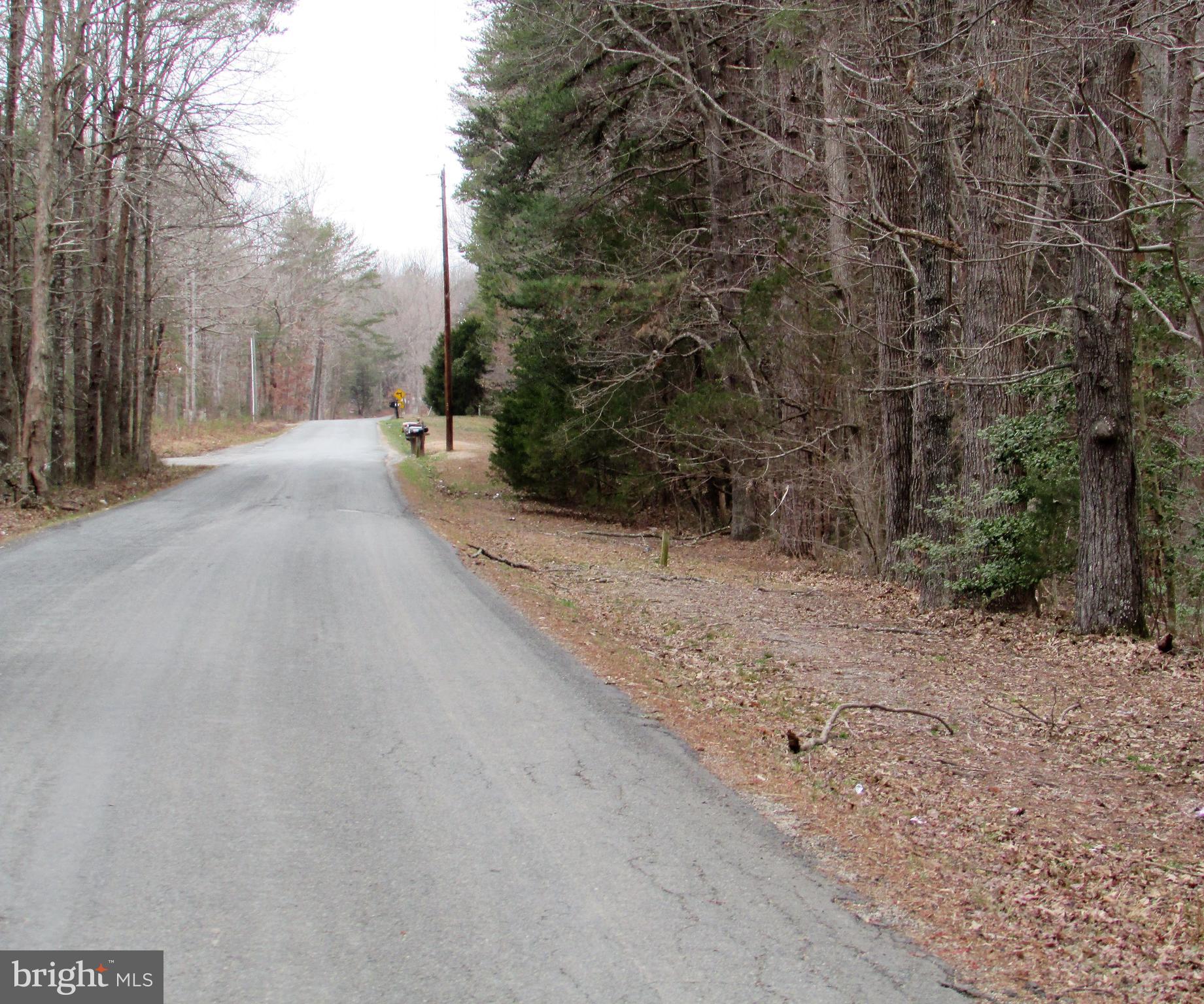 Lot # Cedar Hill Road Mineral, VA 23117 - Photo 12 of 17 Lot 25 Cedar Hill Rd - Road Frontage