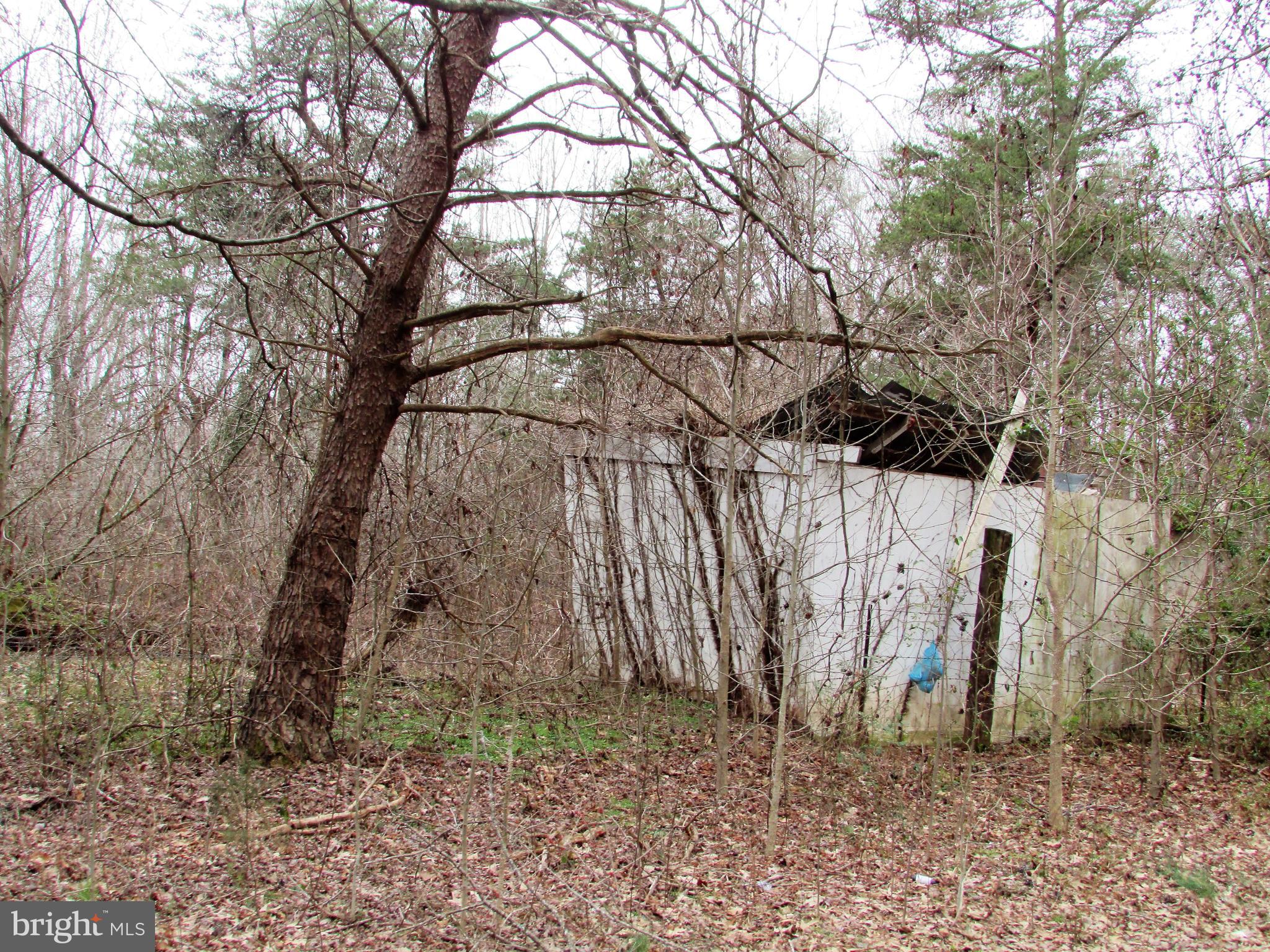 Lot # Cedar Hill Road Mineral, VA 23117 - Photo 15 of 17 Old Shed on Property - Lot 25 Cedar Hill Rd