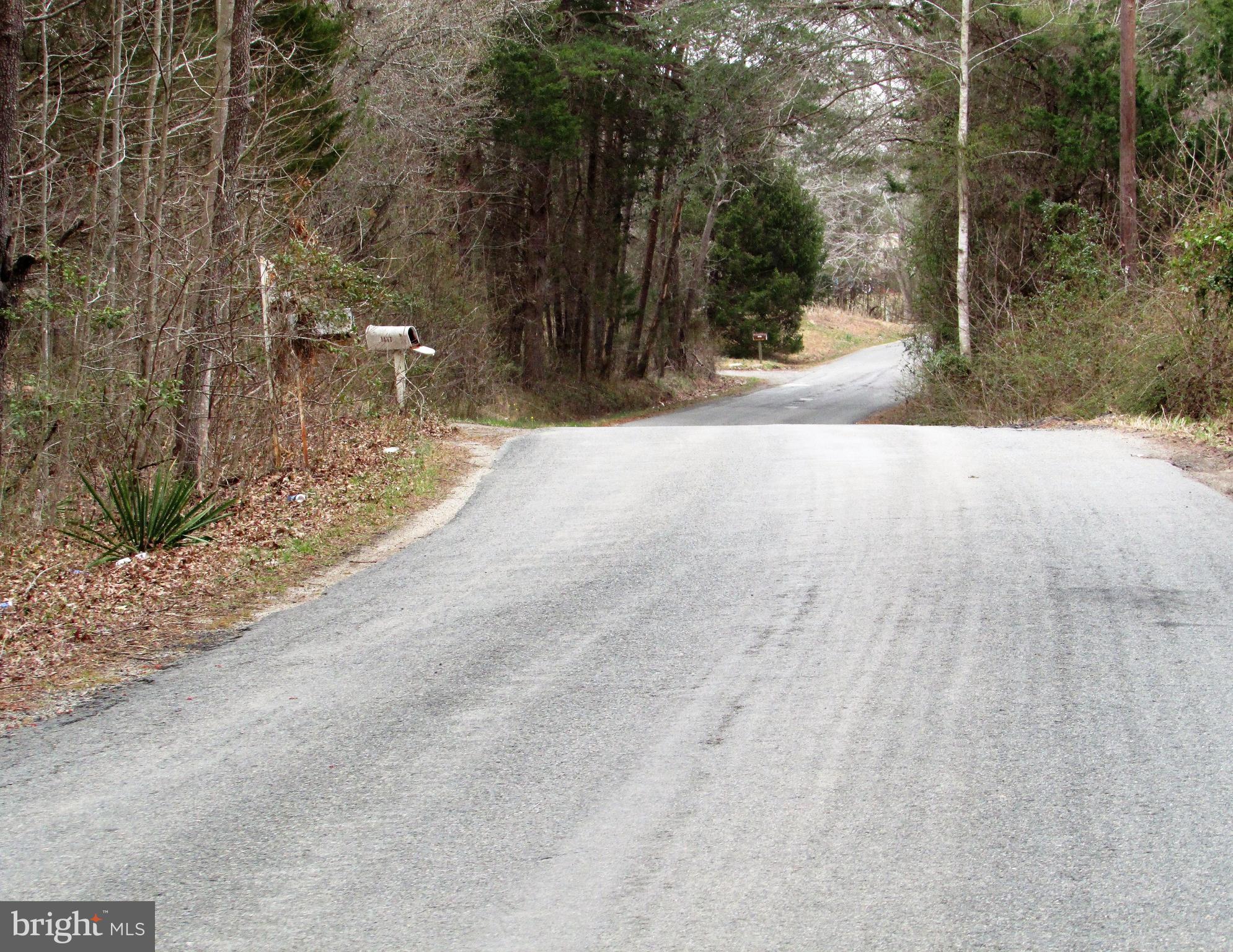 Lot # Cedar Hill Road Mineral, VA 23117 - Photo 16 of 17 Lot 25 Road frontage on Cedar Hill Rd
