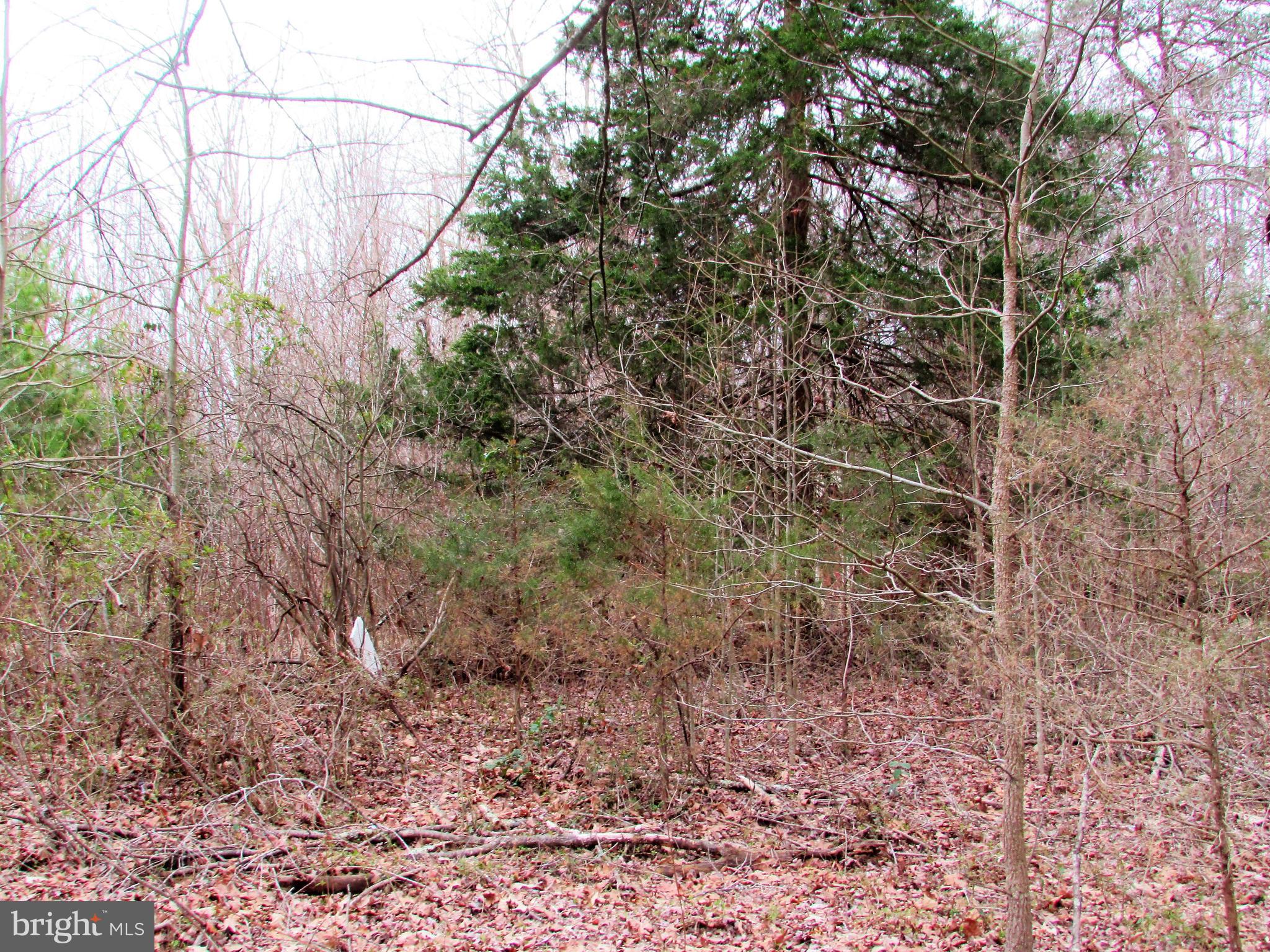 Lot # Cedar Hill Road Mineral, VA 23117 - Photo 17 of 17 Build your dream home here