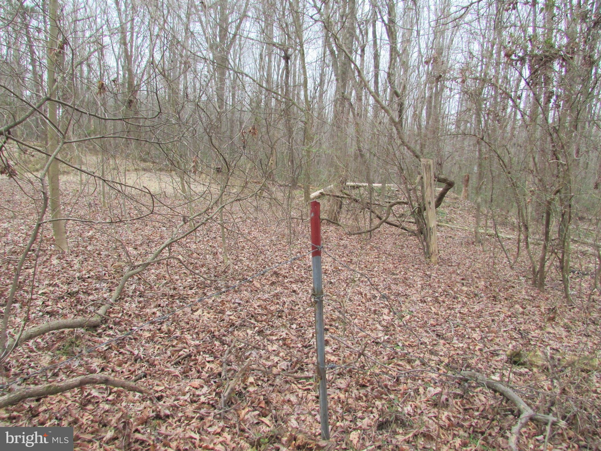 Lot # Cedar Hill Road Mineral, VA 23117 - Photo 4 of 17 Interior Property Line of Lot 25