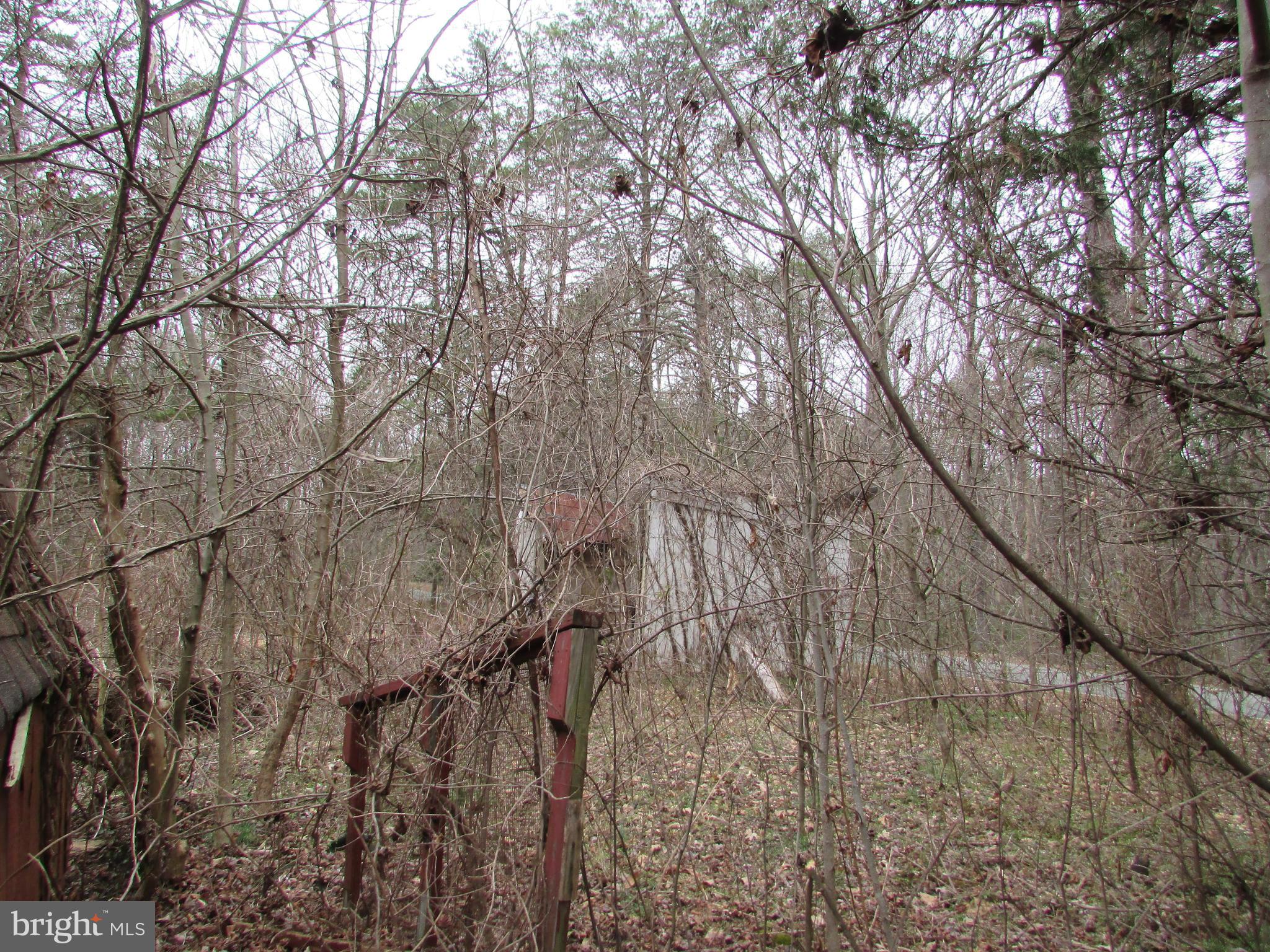 Lot # Cedar Hill Road Mineral, VA 23117 - Photo 7 of 17 Remnants of old shed and building on Lot 25