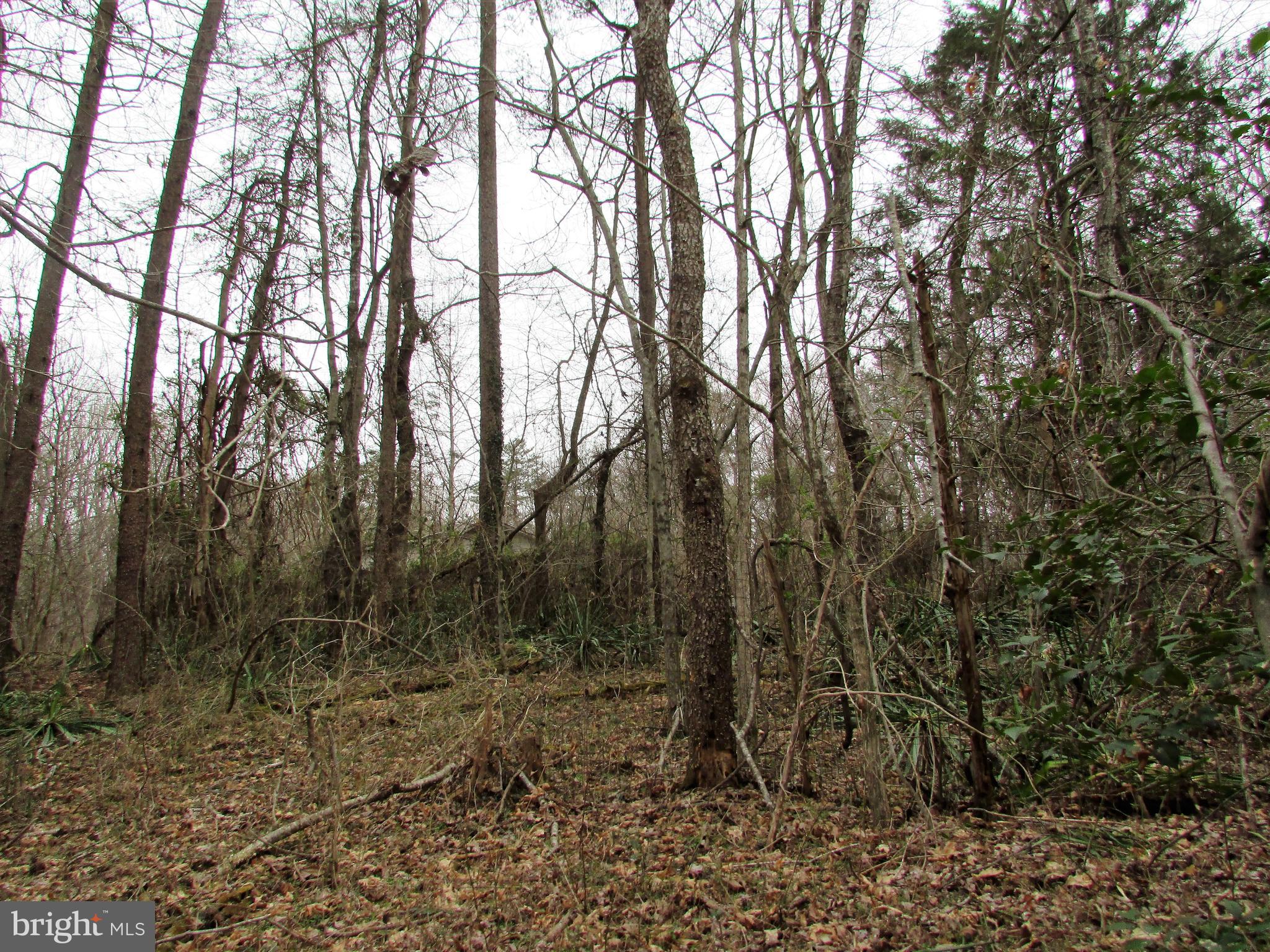 Lot # Cedar Hill Road Mineral, VA 23117 - Photo 8 of 17 Build your home and enjoy the Natures Beauty here