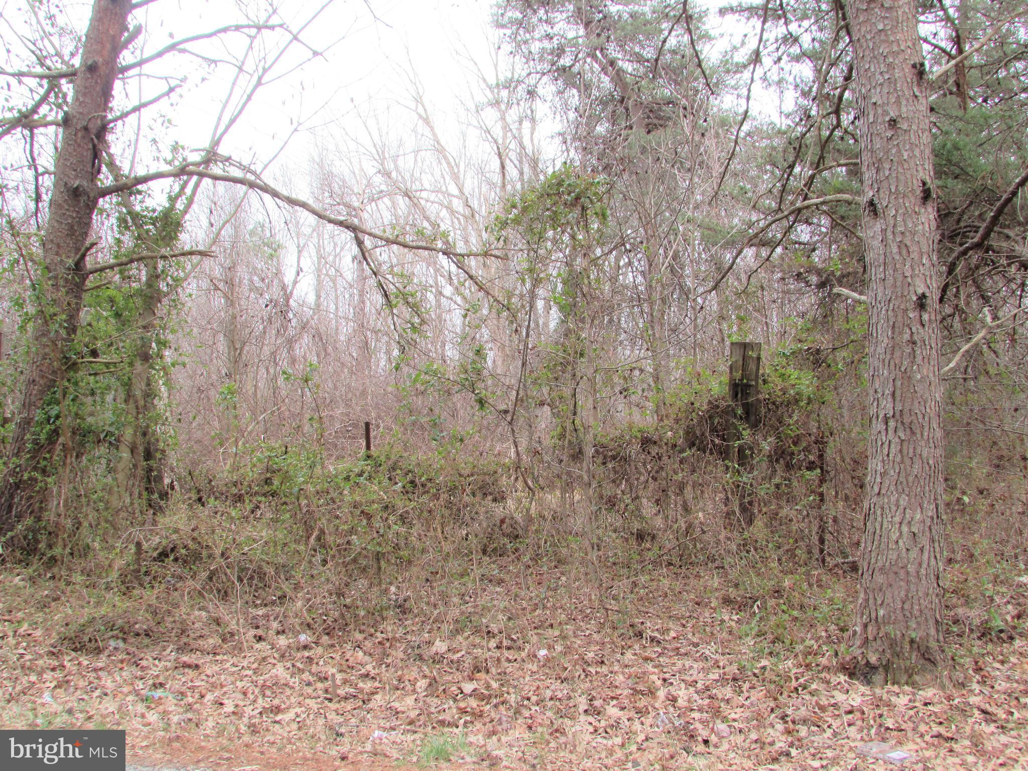 Lot # Cedar Hill Road Mineral, VA 23117 - Photo 10 of 17 Front Right Corner Property Line - Lot 25