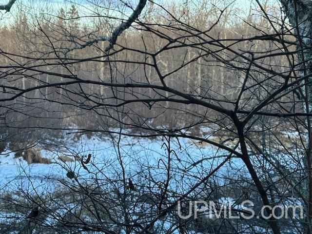 11812 East Howen Road Long Lake, WI 54542 - Photo 19 of 20