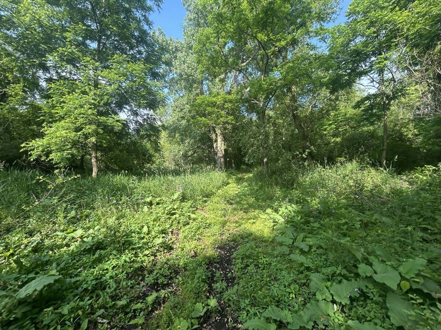5121 Skuse Road Osseo, MI 49266 - Photo 12 of 32 sk11