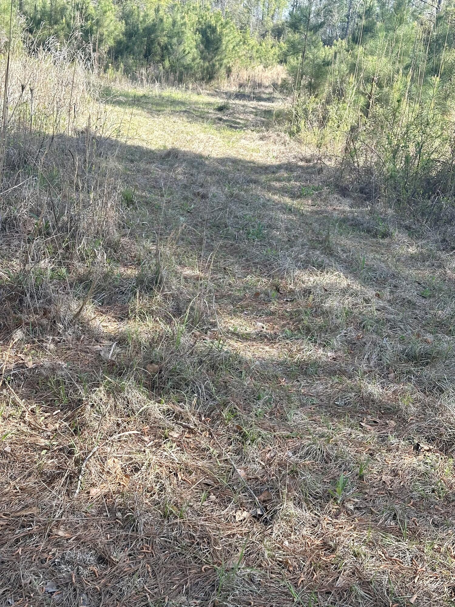 521 West Deer Road Timmonsville, SC 29161 - Photo 5 of 12