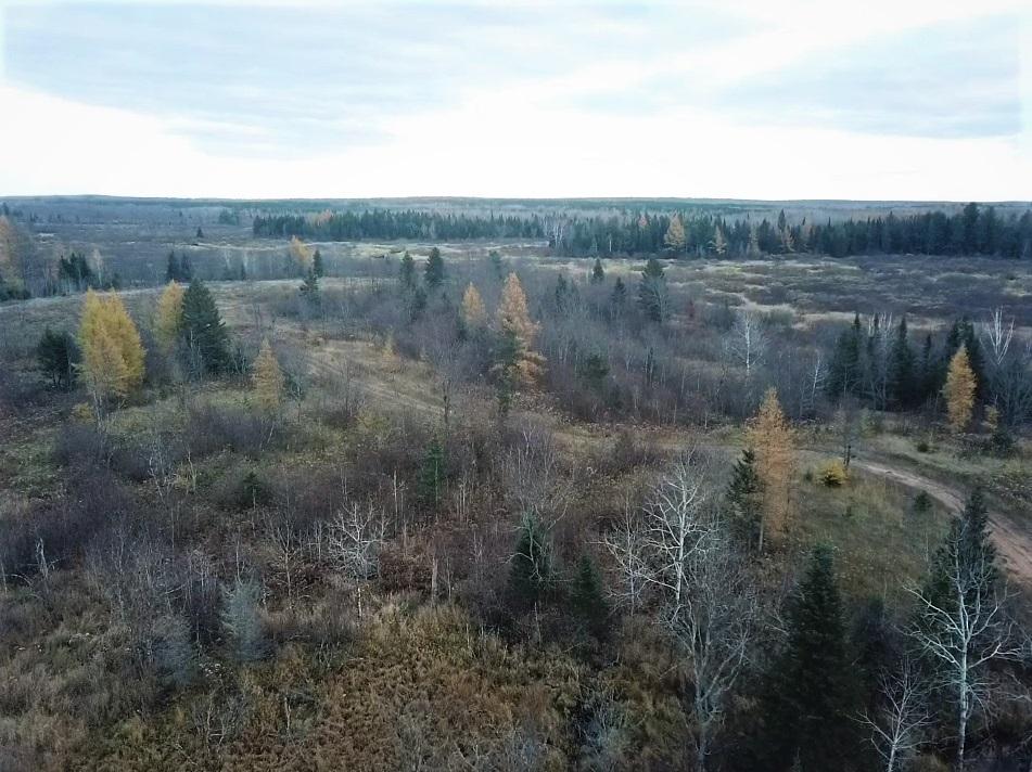 On Dick Samz Road, Unit 77 ACRES Argonne, WI 54511 - Photo 7 of 11 Gallery Image 7