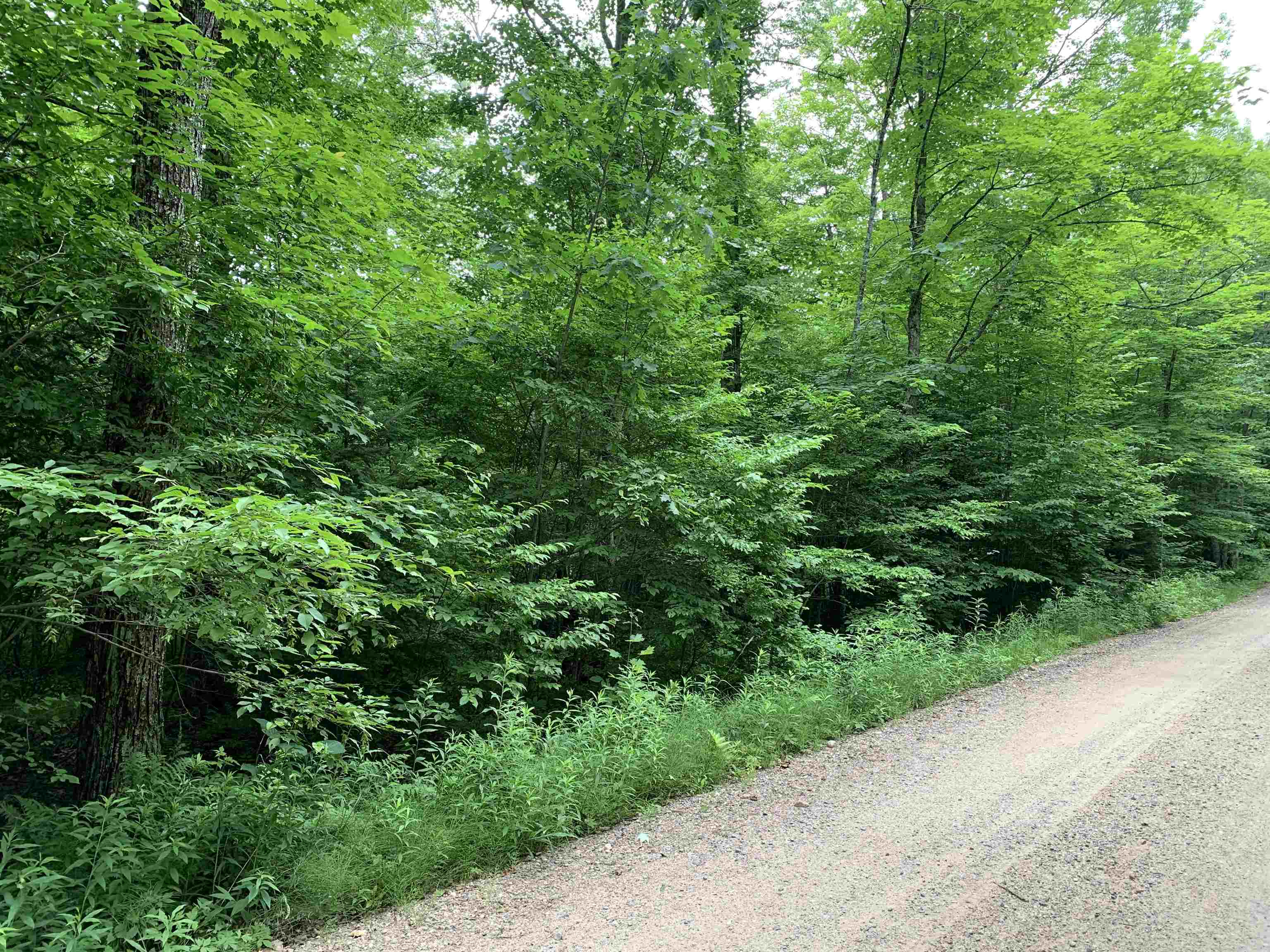 0 Smt Wds Lane Gleason, WI 54435 - Photo 16 of 17