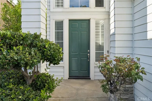a potted plant in front of a house