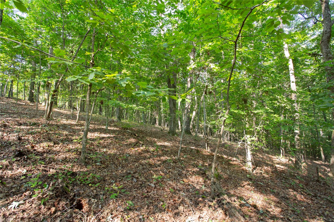 Lot 17 Sunset Ridge/ Paramount Drive Seneca, SC 29678 - Photo 11 of 19 Gallery Image 11
