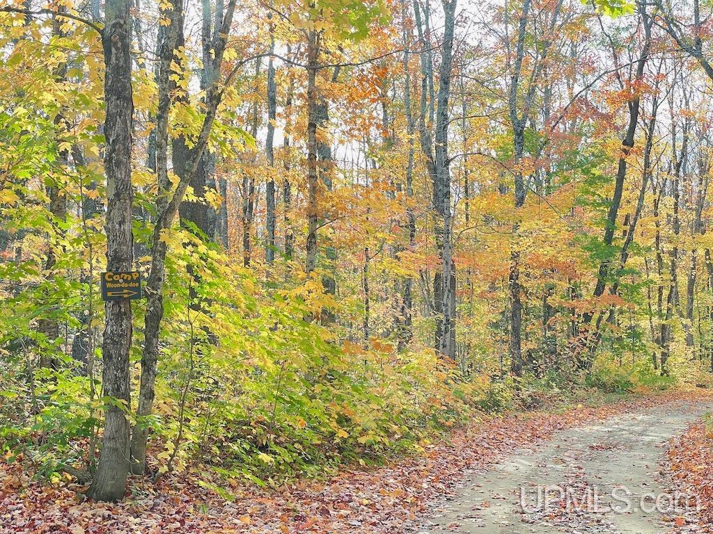 47-13 Carpenter Lake Road Seney, MI 49883 - Photo 17 of 18