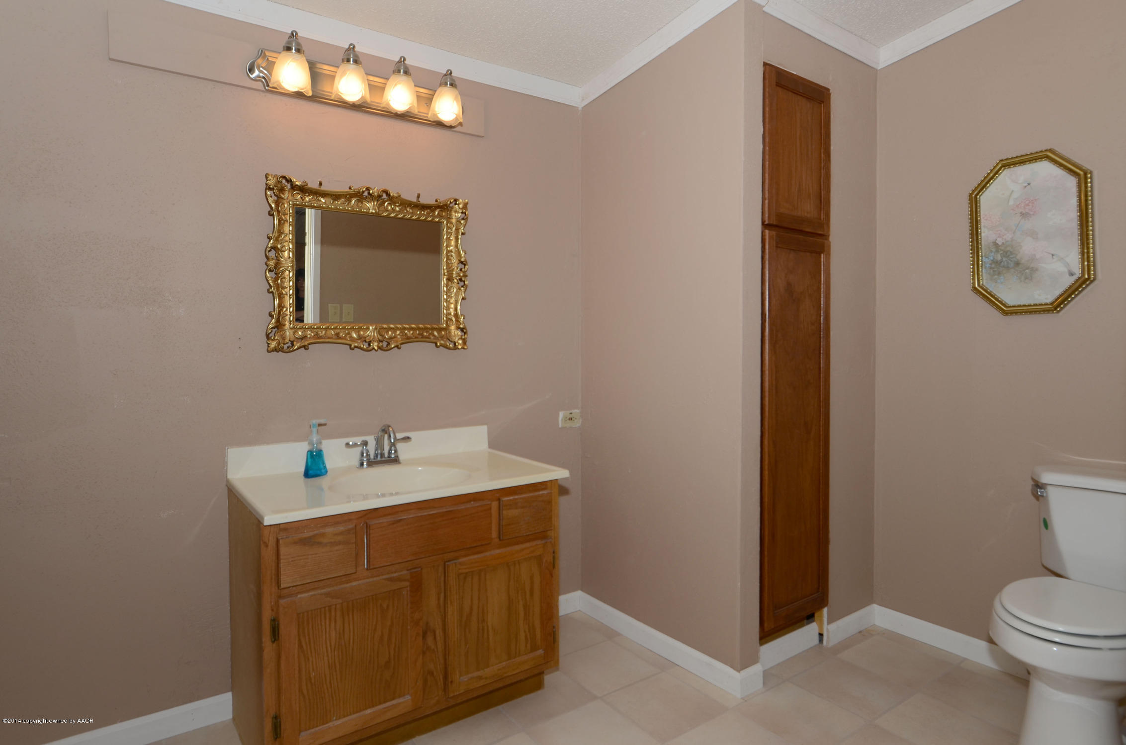 26550 Newton Road Canyon, TX 79015 - Photo 14 of 24 Master_Bathroom_3