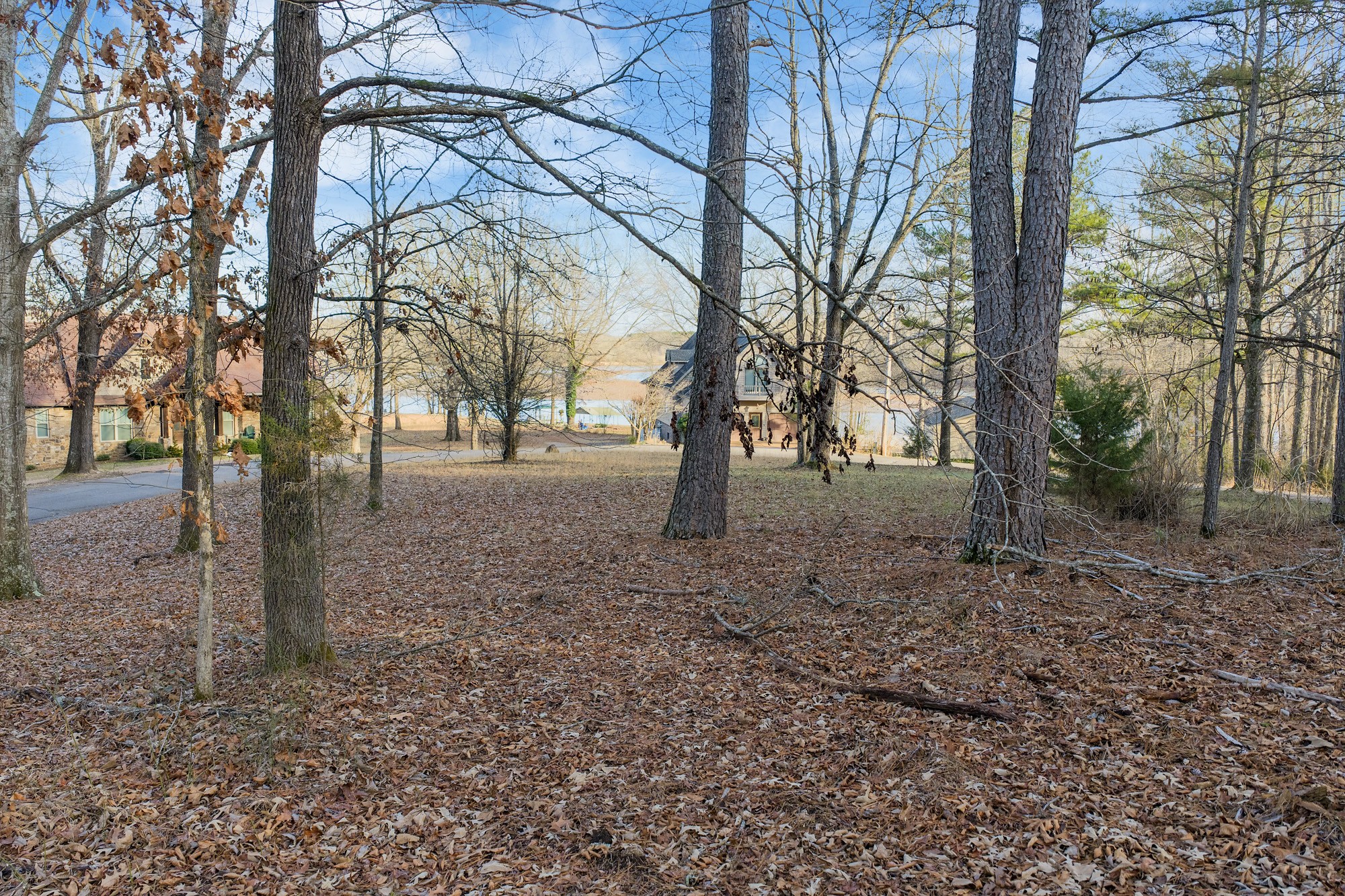 90 Arrowhead Circle Parsons, TN 38363 - Photo 13 of 18 a backyard of a house with lots of green space