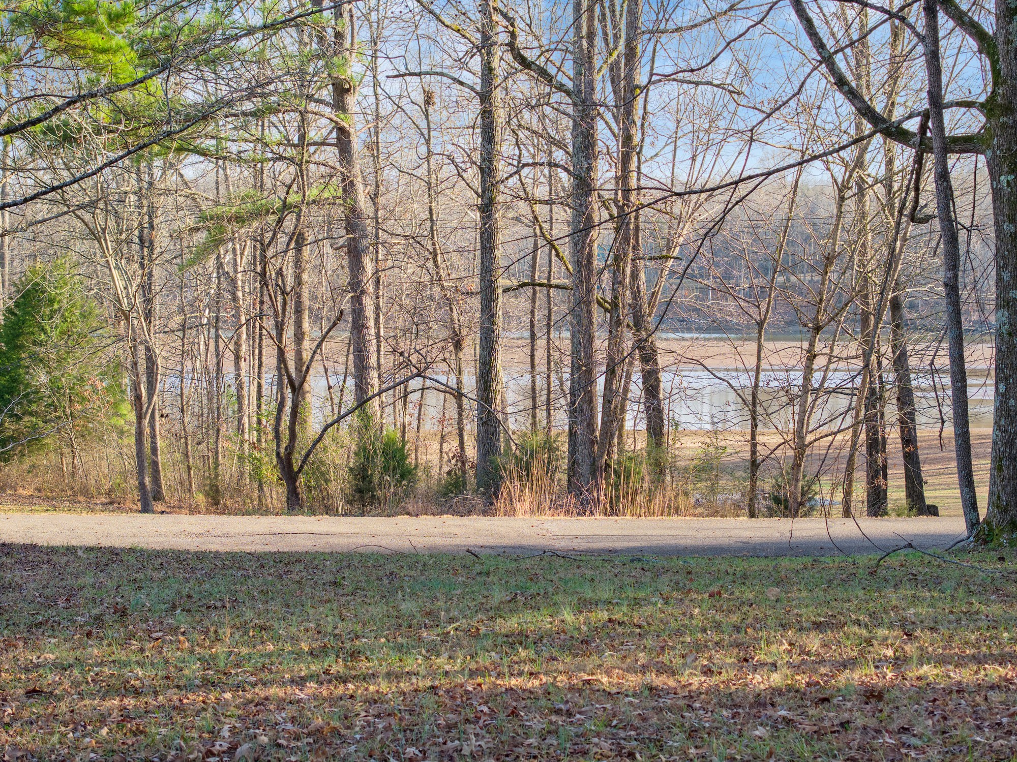 90 Arrowhead Circle Parsons, TN 38363 - Photo 14 of 18 a view of outdoor space with lots of trees