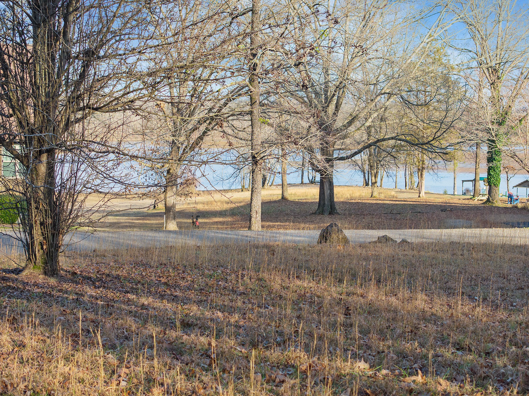 90 Arrowhead Circle Parsons, TN 38363 - Photo 16 of 18 a view of road and trees
