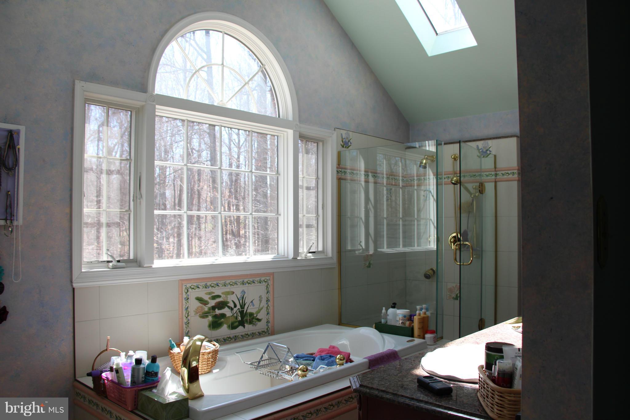 4025 Willows Road Chesapeake Beach, MD 20732 - Photo 11 of 27 Bath (Master)