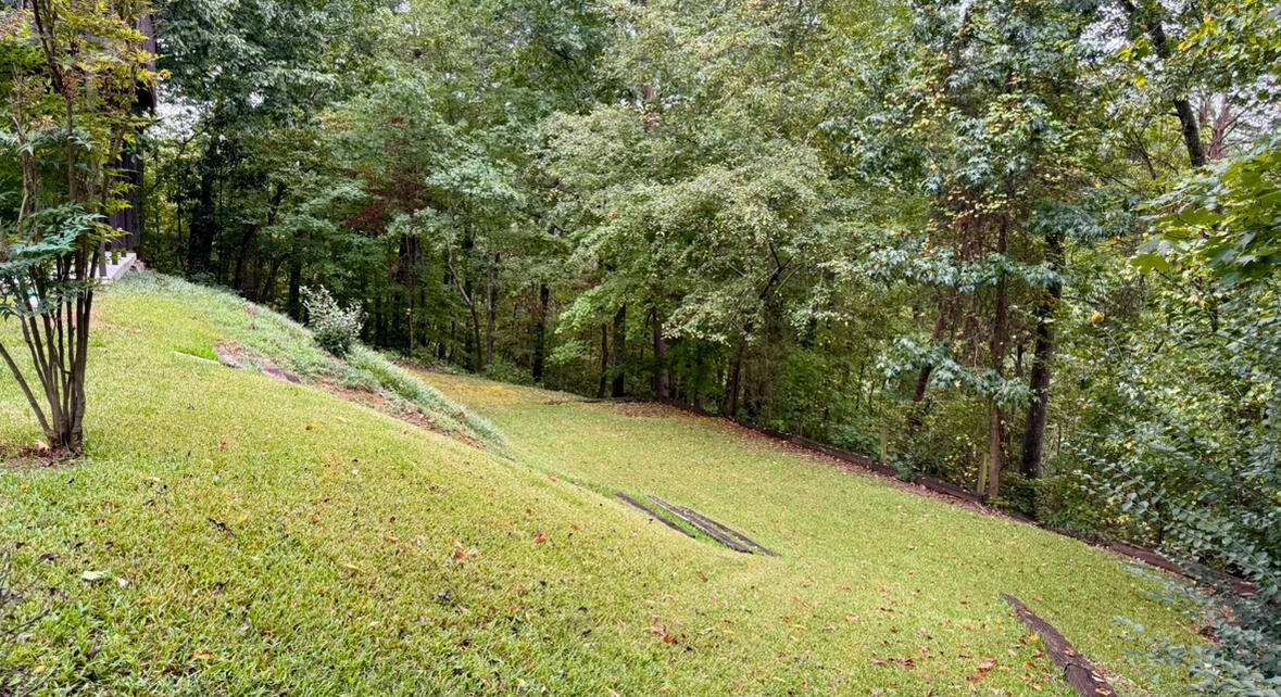 340 Randi Circle Dayton, TN 37321 - Photo 48 of 66 IMG_5078