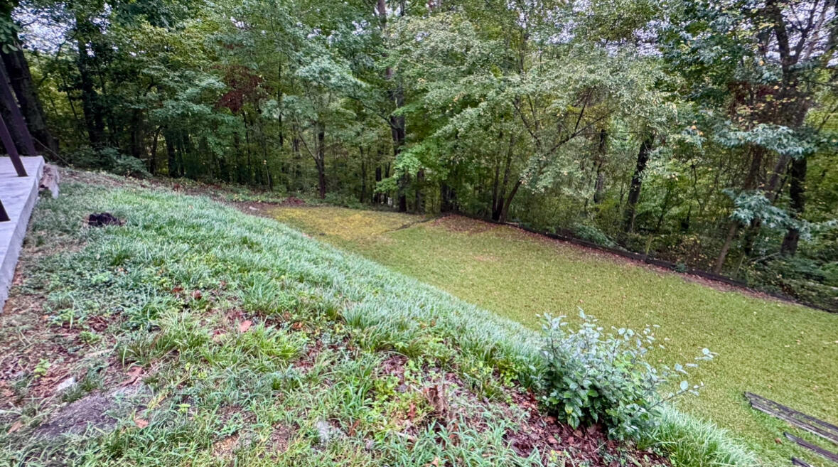 340 Randi Circle Dayton, TN 37321 - Photo 50 of 66 IMG_5080