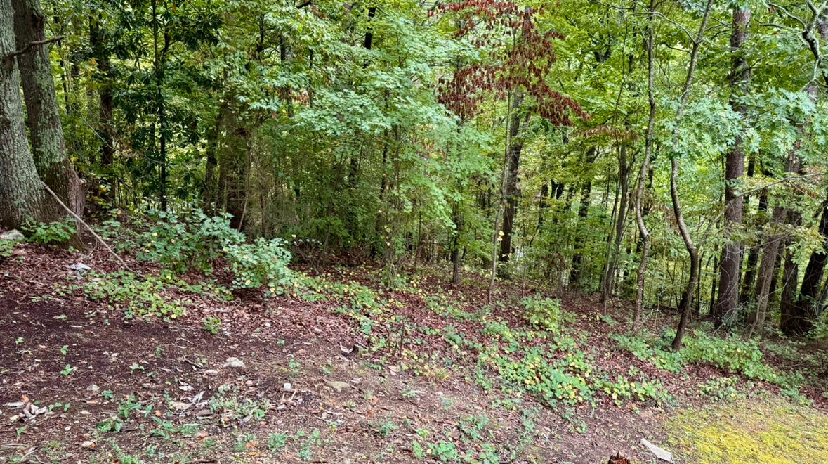 340 Randi Circle Dayton, TN 37321 - Photo 58 of 66 IMG_5088