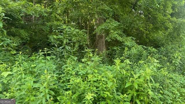 3 Eagle Heights Road Hiawassee, GA 30546 - Photo 13 of 15 a view of a lush green forest